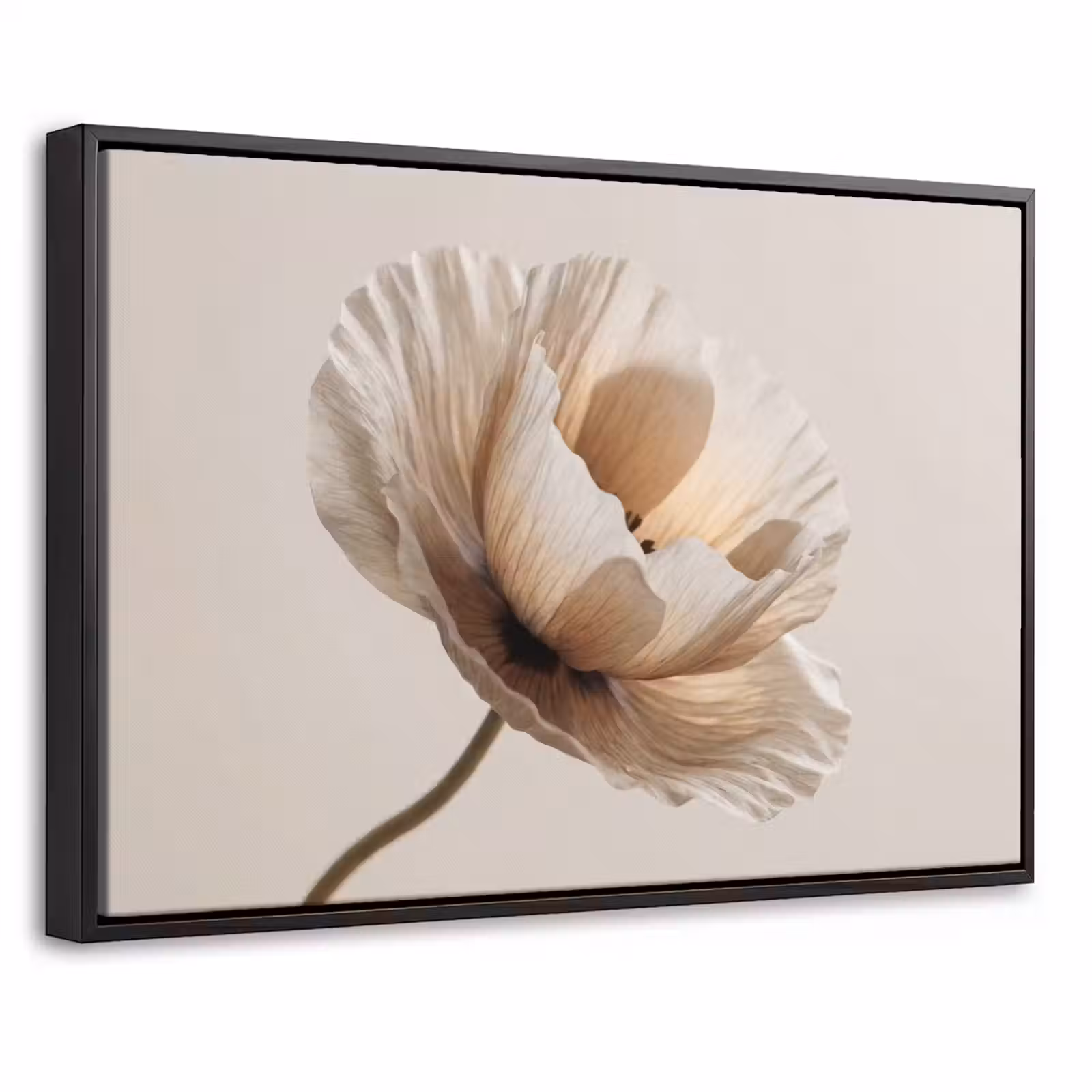 Canvas met lijst - Bloem - Beige - Crème — 1