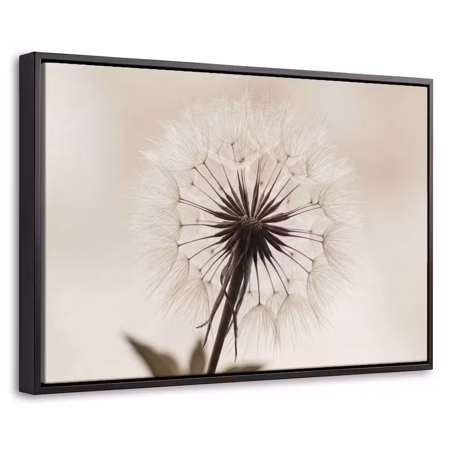 Canvas met lijst - Paardenbloem - Minimalistisch - Wit — 1
