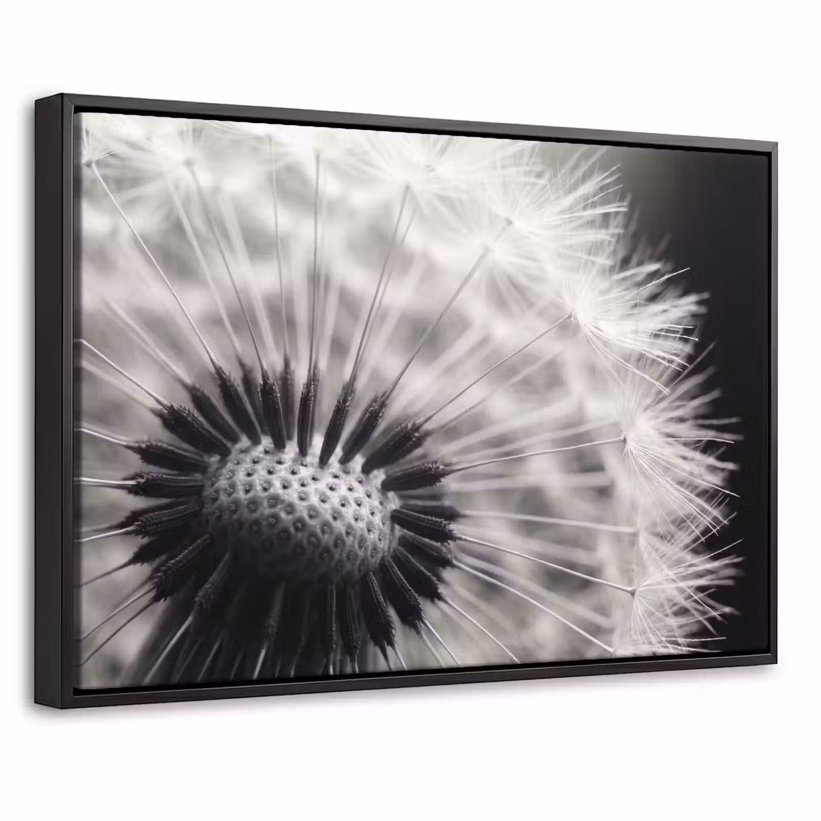 Canvas met lijst - Paardenbloem - Zwart - Wit — 1