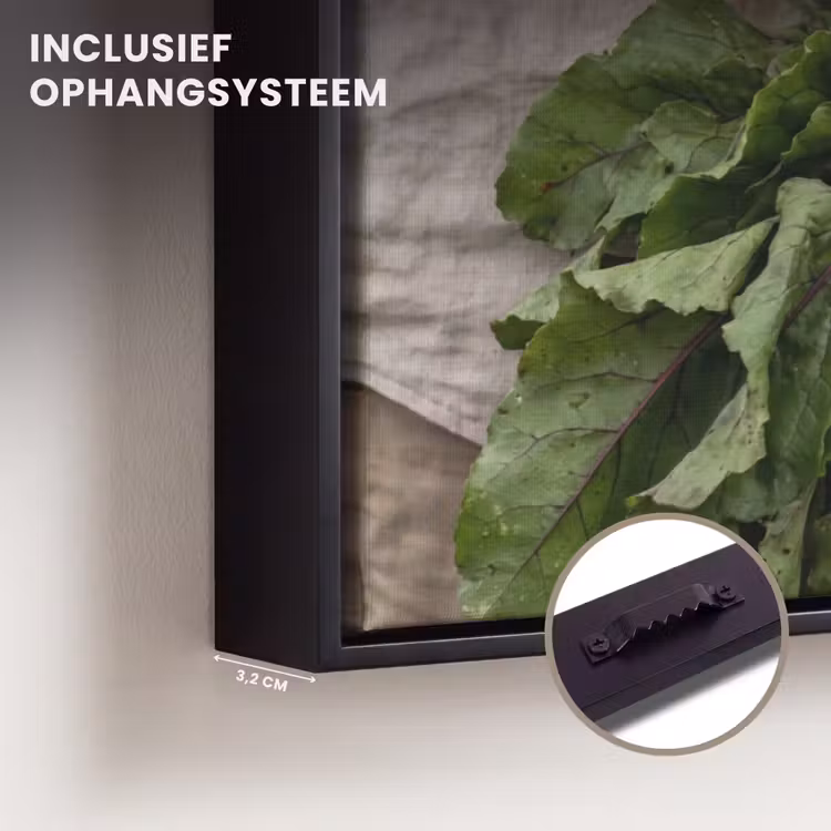 Canvas met lijst - Bieten - Vers - Moestuin — 3