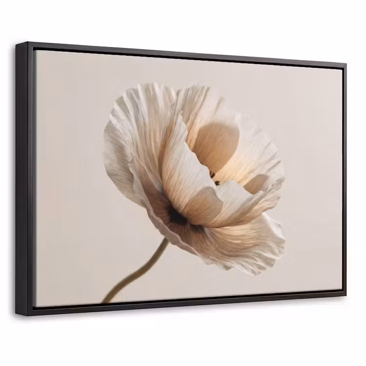 Canvas met lijst - Bloem - Beige - Crème — 1