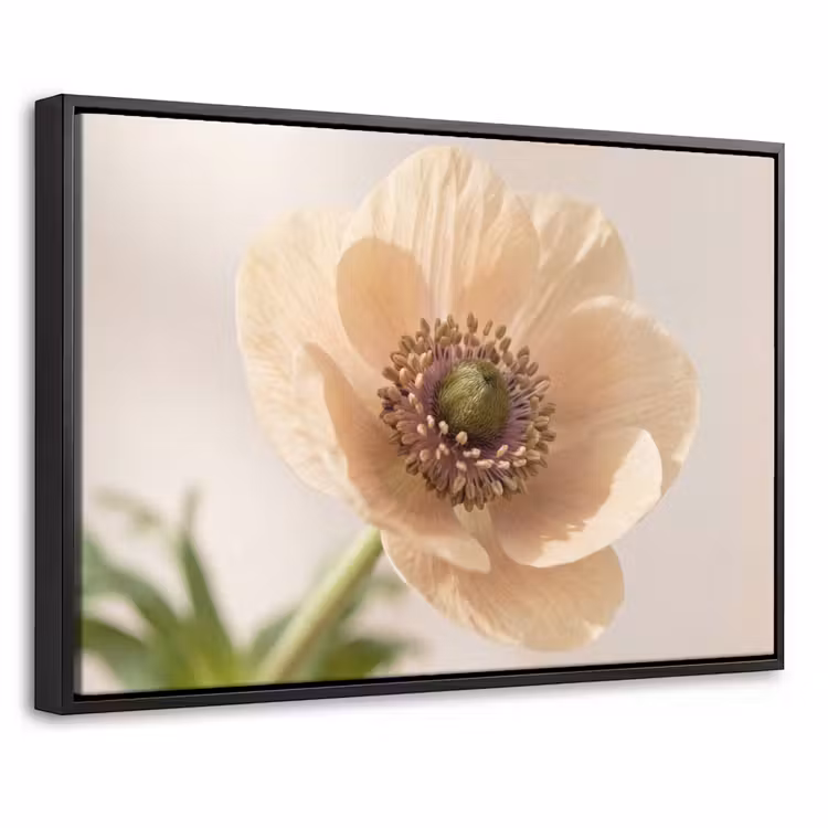 Canvas met lijst - Bloem - Minimalistisch - Groen — 1