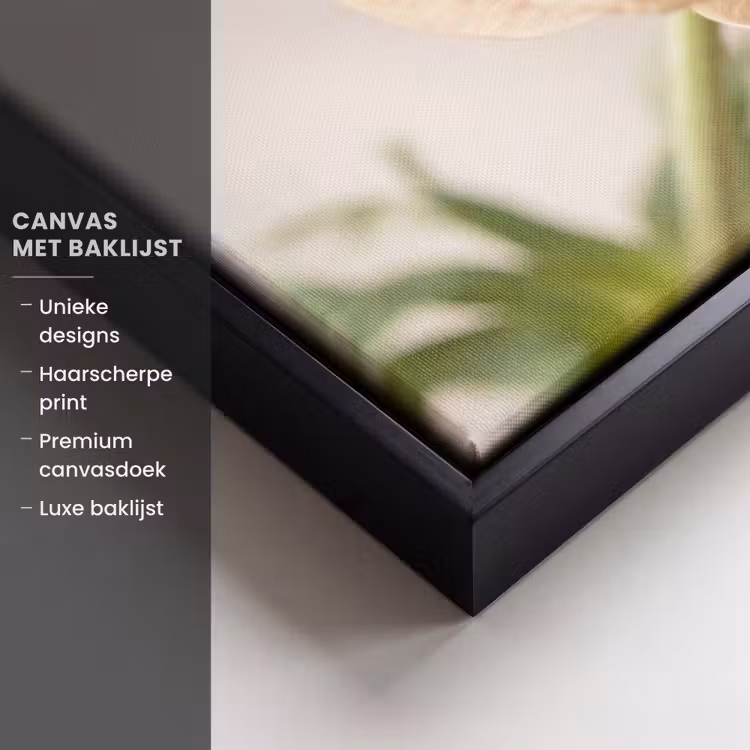 Canvas met lijst - Bloem - Minimalistisch - Groen — 5