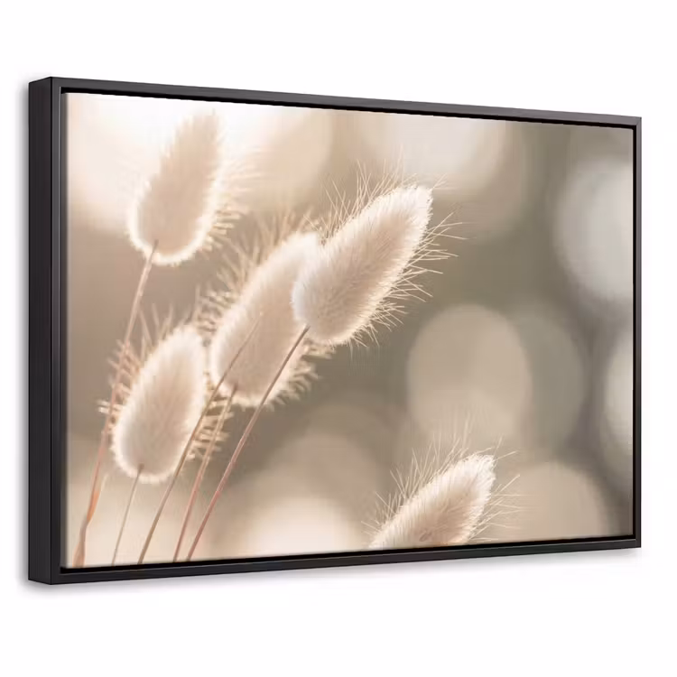 Canvas met lijst - Hazestaartgras - Wit - Zonlicht — 1