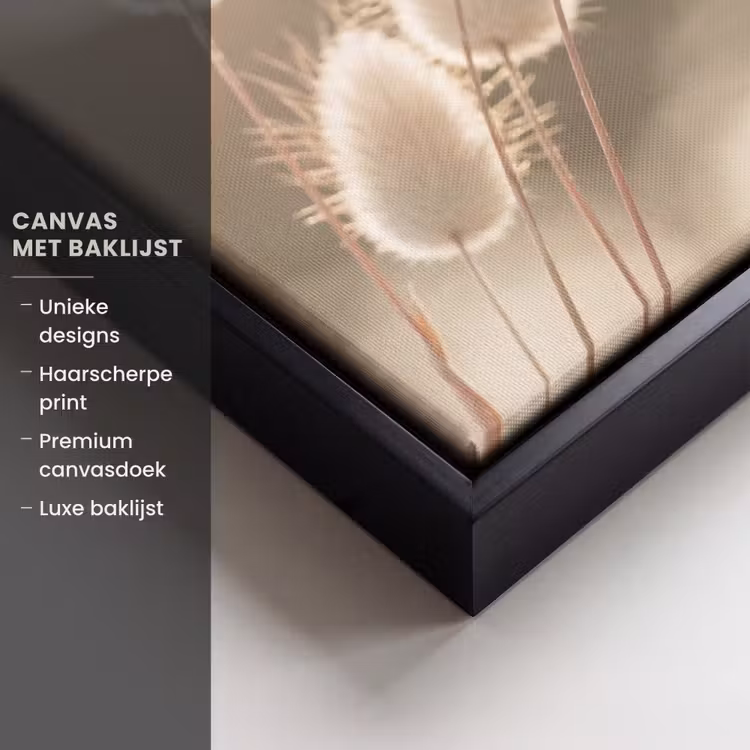 Canvas met lijst - Hazestaartgras - Wit - Zonlicht — 5