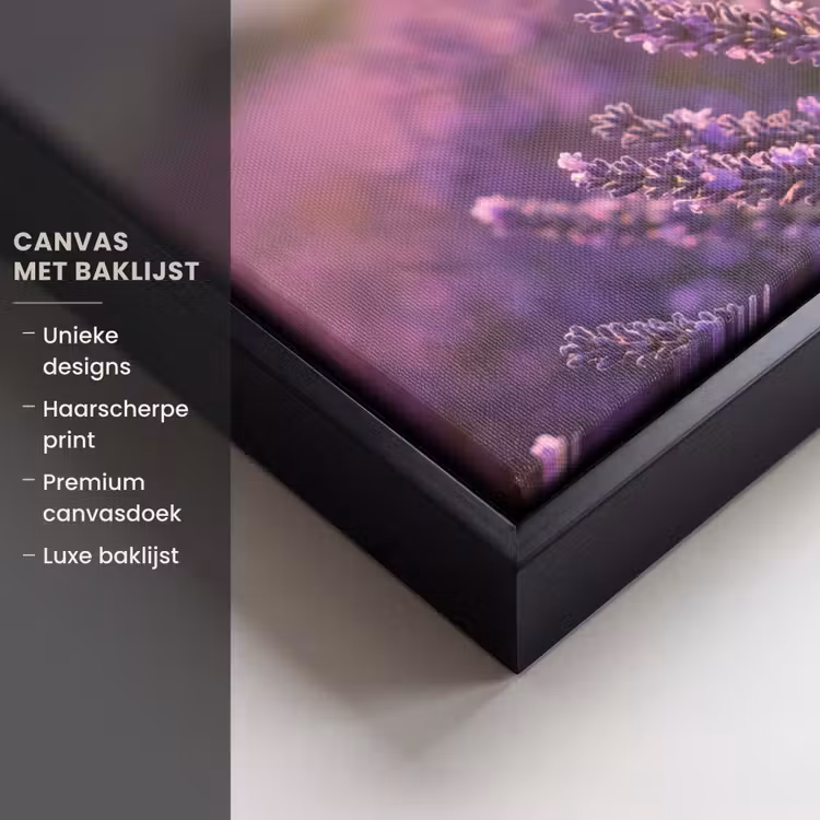 Canvas met lijst - Lavendel - Paars - Zonlicht — 5