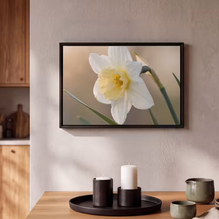 Canvas met lijst - Narcis - Bloem - Minimalistisch — 2