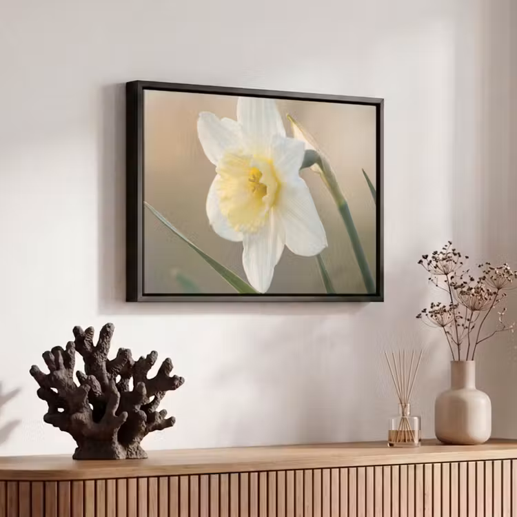 Canvas met lijst - Narcis - Bloem - Minimalistisch — 6