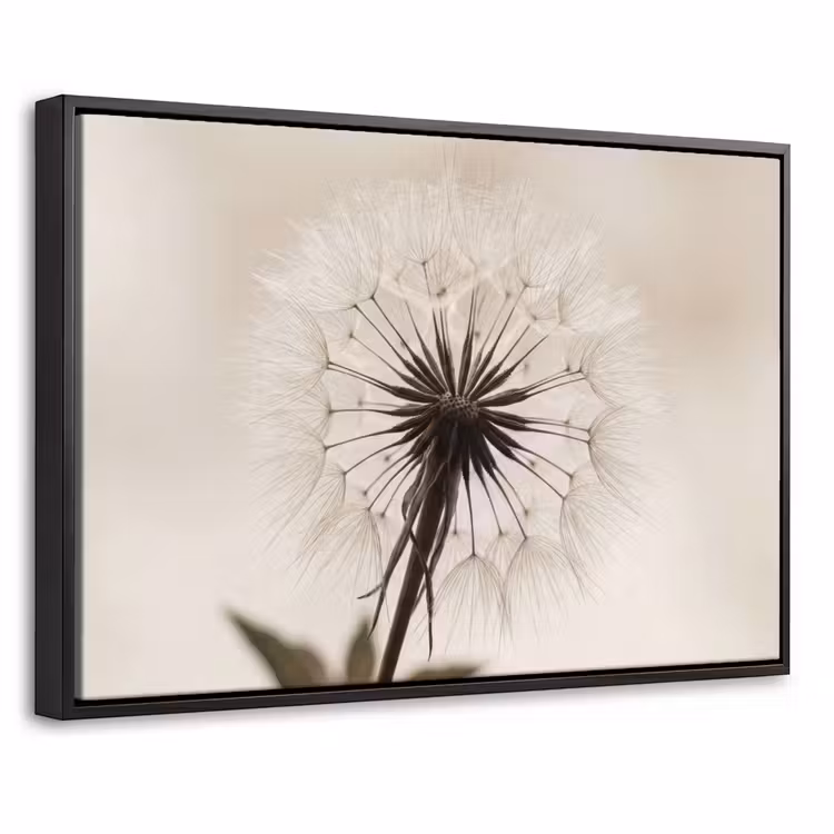 Canvas met lijst - Paardenbloem - Minimalistisch - Wit — 1