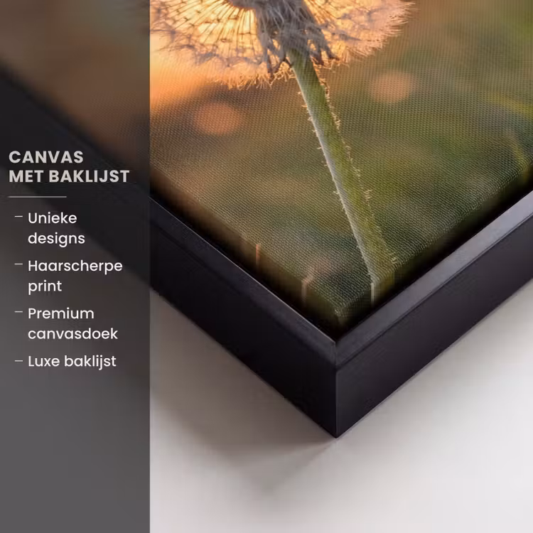 Canvas met lijst - Paardenbloem - Zonsondergang - Veld — 5
