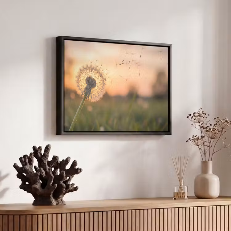 Canvas met lijst - Paardenbloem - Zonsondergang - Veld — 6