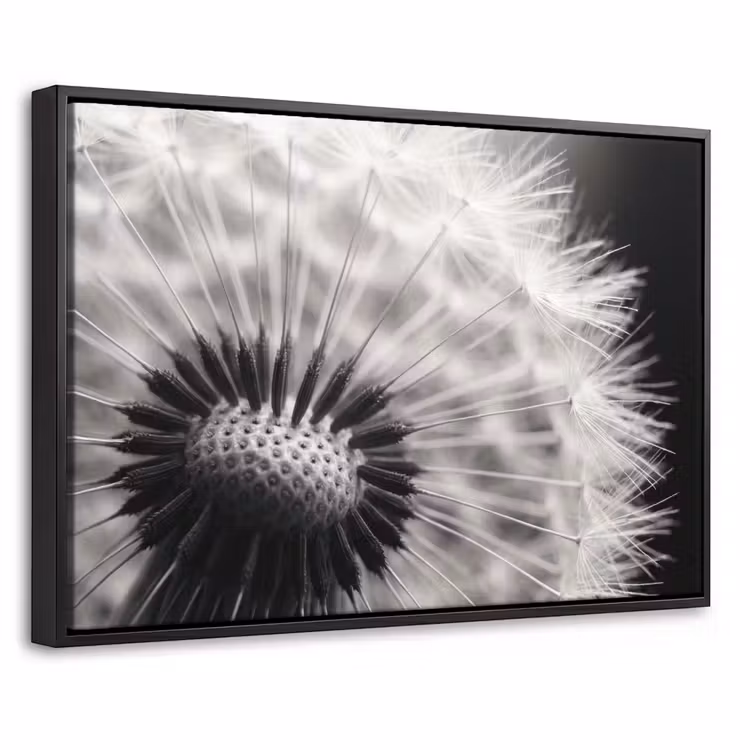 Canvas met lijst - Paardenbloem - Zwart - Wit — 1