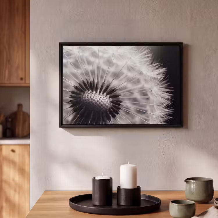 Canvas met lijst - Paardenbloem - Zwart - Wit — 2
