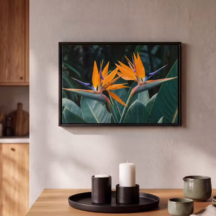 Canvas met lijst - Paradijsvogel - Bloem - Exotisch — 2