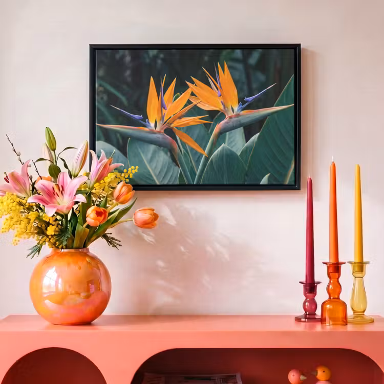 Canvas met lijst - Paradijsvogel - Bloem - Exotisch — 4