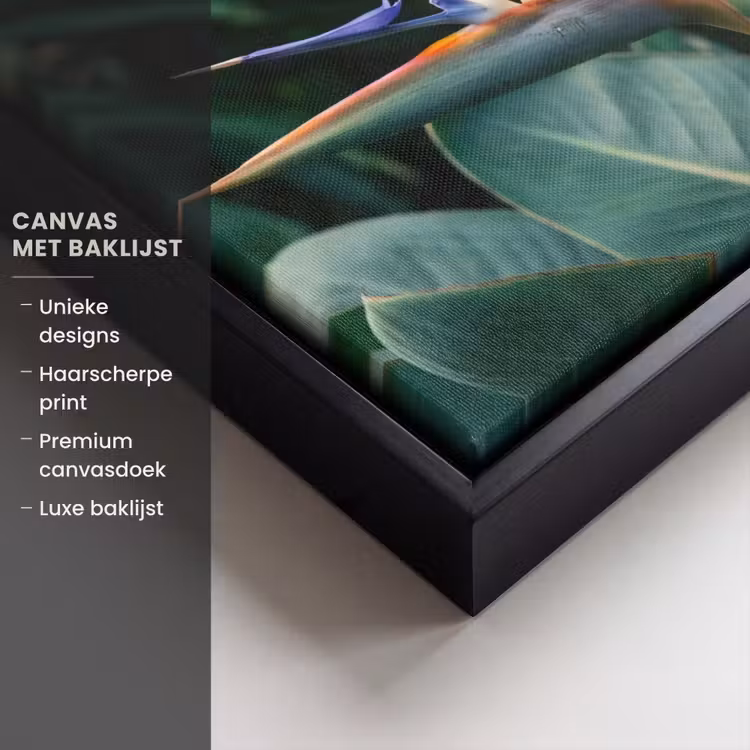 Canvas met lijst - Paradijsvogel - Bloem - Exotisch — 5