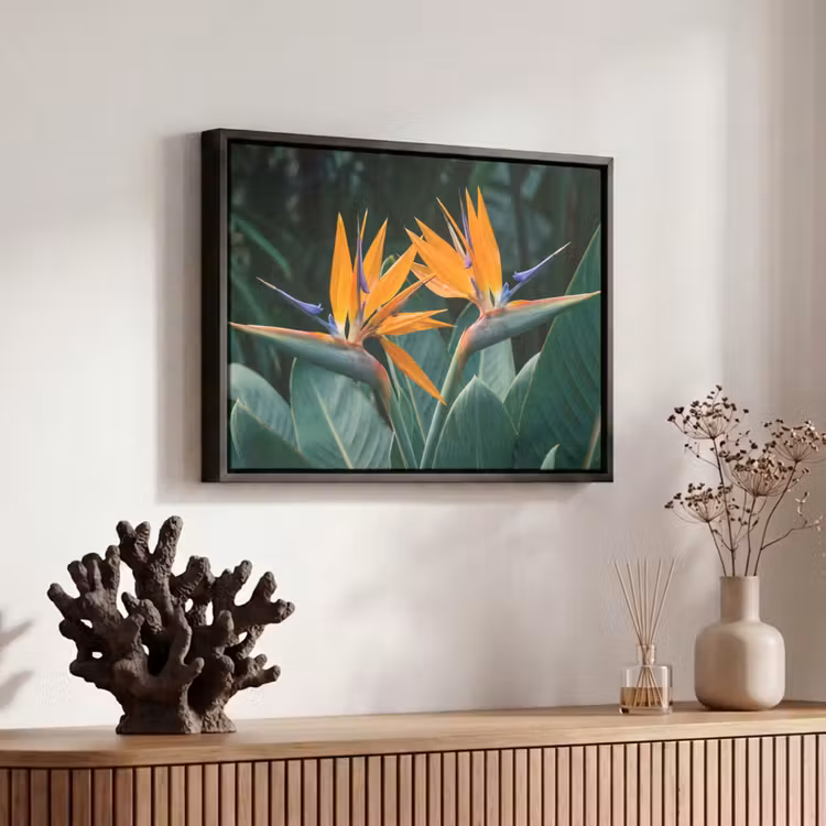 Canvas met lijst - Paradijsvogel - Bloem - Exotisch — 6