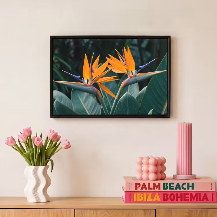 Canvas met lijst - Paradijsvogel - Bloem - Exotisch — 8