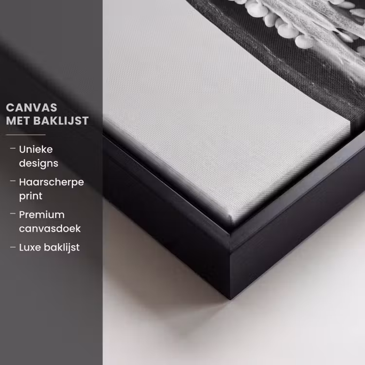 Canvas met lijst - Pepers - Zwart - Wit - Zaadlijsten — 5