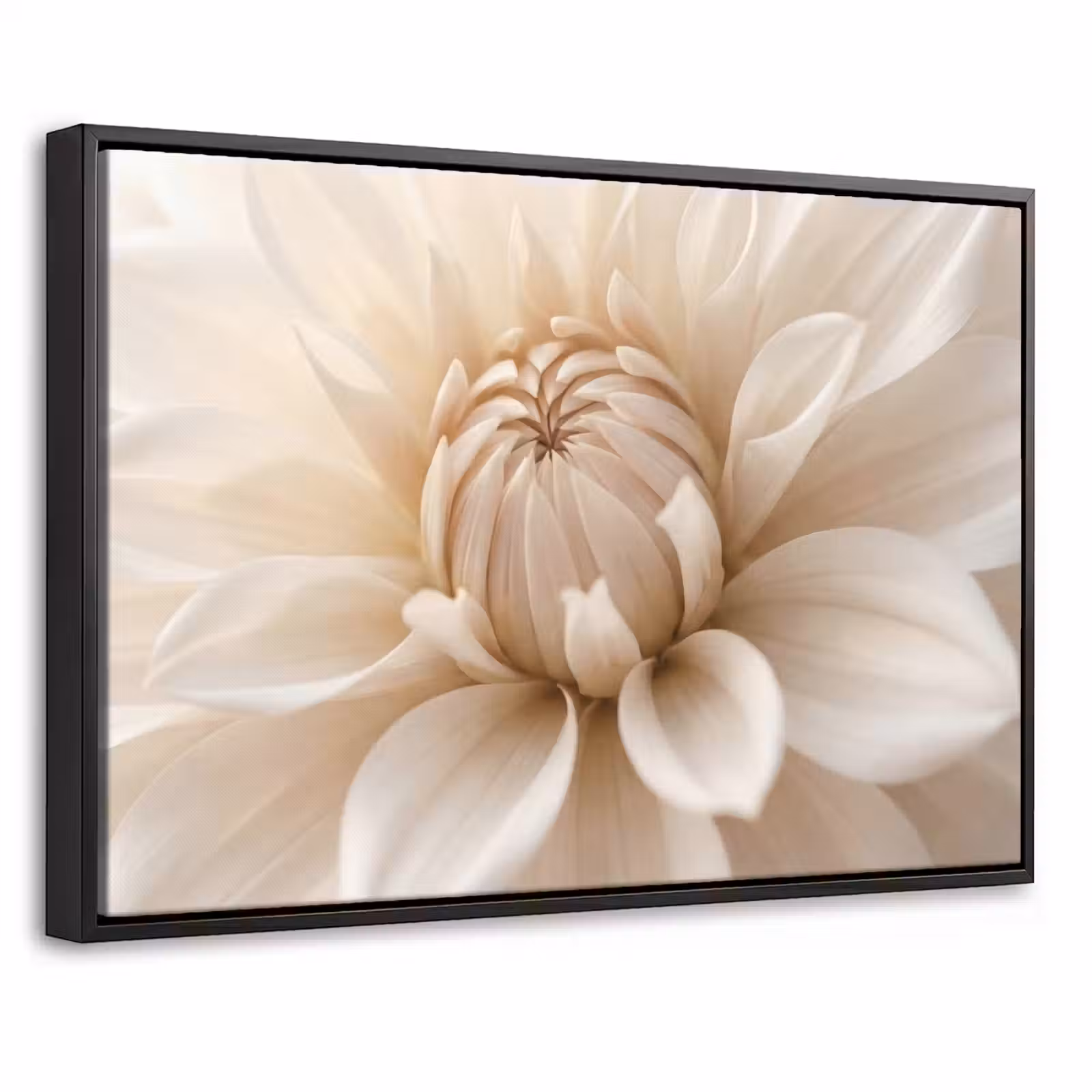 Canvas met lijst - Bloem - Dahlia - Wit — 1