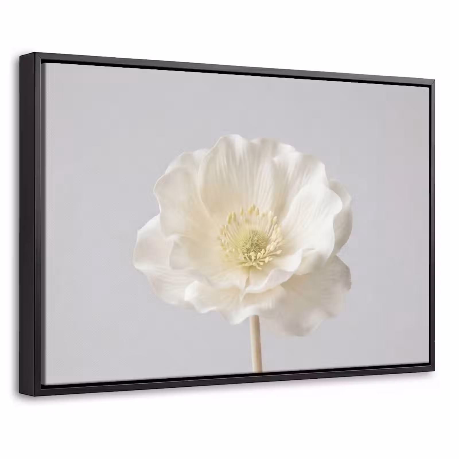 Canvas met lijst - Bloem - Minimalistisch -Wit — 1