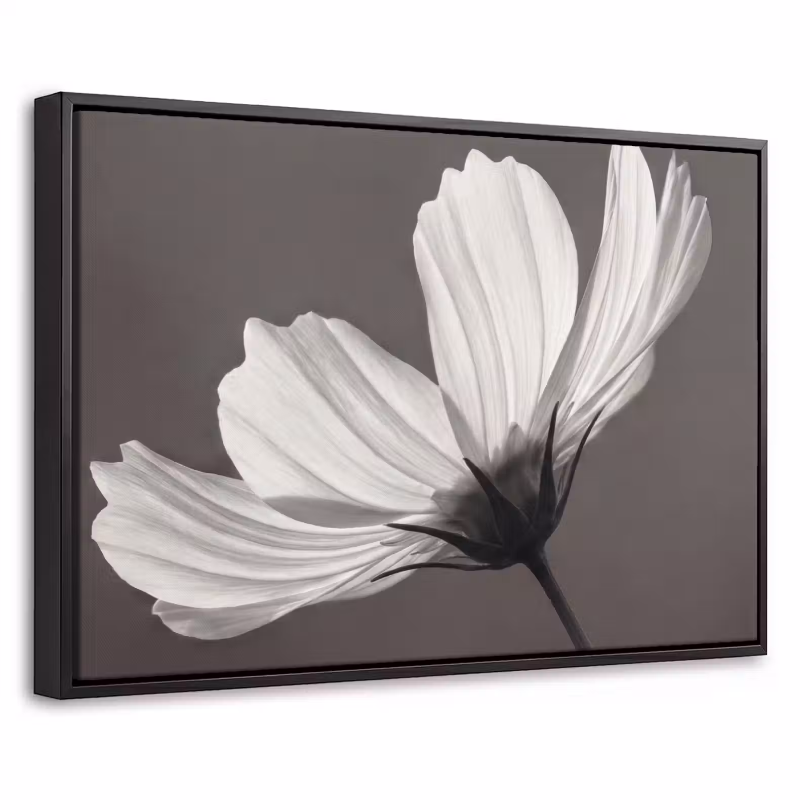 Canvas met lijst - Bloem - Minimalistisch - Zwart - Wit — 1
