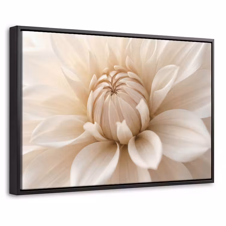 Canvas met lijst - Bloem - Dahlia - Wit — 1