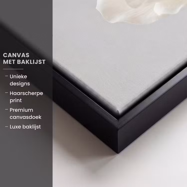 Canvas met lijst - Bloem - Minimalistisch -Wit — 5