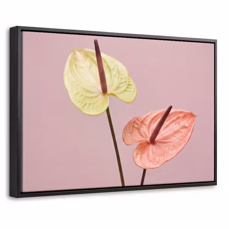 Canvas met lijst - Bloemen - Anthuriums - Geel - Roze — 1