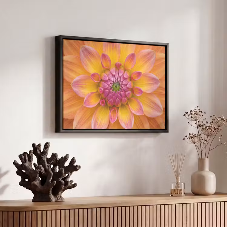 Canvas met lijst - Dahlia - Bloem - Oranje — 6