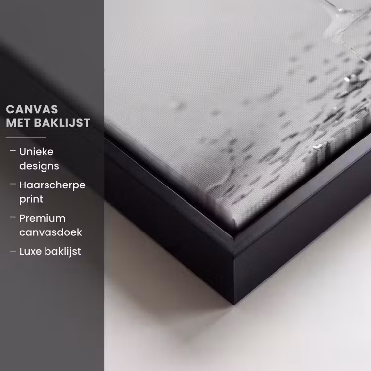 Canvas met lijst - Feestelijk - Champagne - Discobal — 5