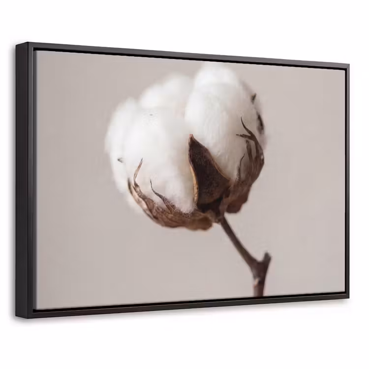Canvas met lijst - Katoenbol - Minimalistisch - Wit — 1