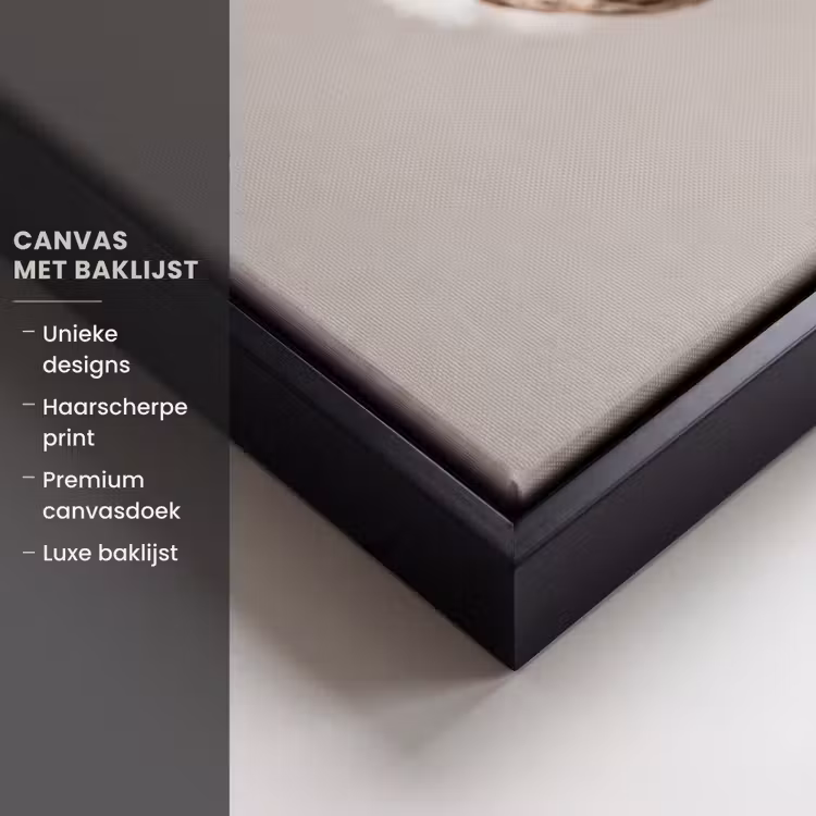 Canvas met lijst - Katoenbol - Minimalistisch - Wit — 5
