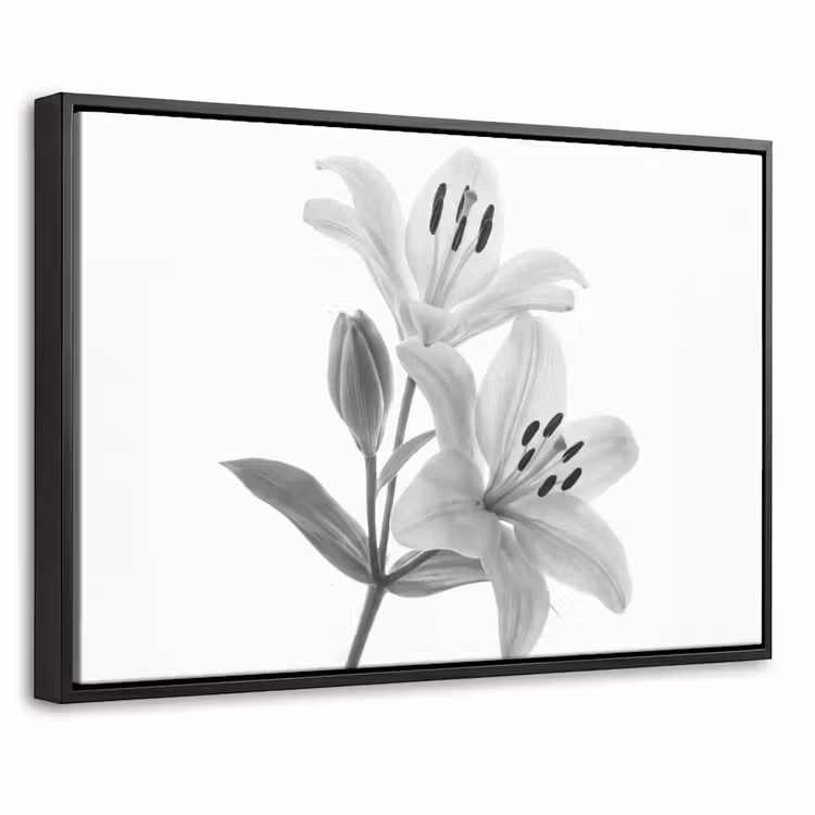 Canvas met lijst - Lelies - Elegant - Zwart - Wit — 1
