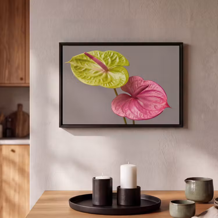 Canvas met lijst - Planten - Anthurium - Groen - Roze — 2