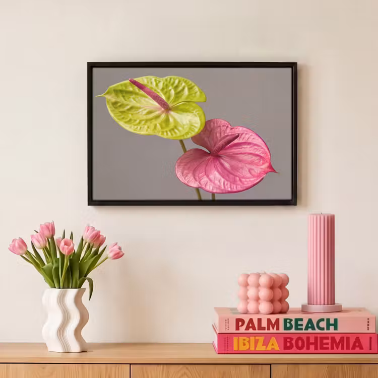 Canvas met lijst - Planten - Anthurium - Groen - Roze — 8
