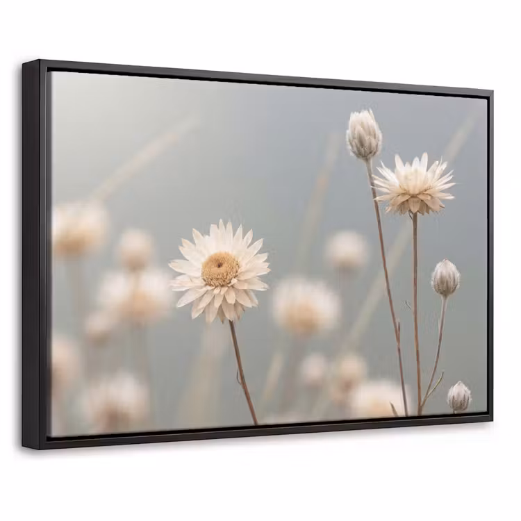 Canvas met lijst - Strobloemen - Wit - Daglicht — 1