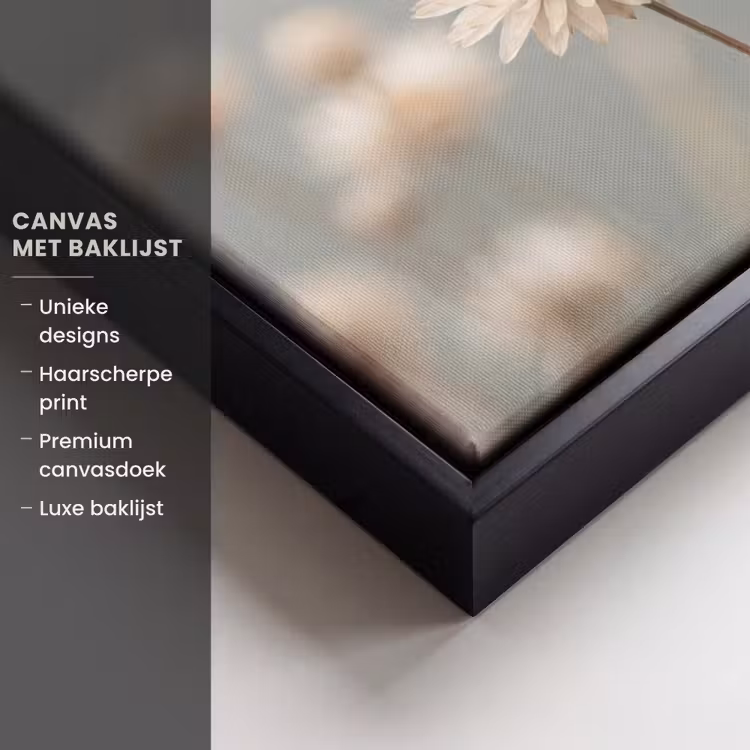 Canvas met lijst - Strobloemen - Wit - Daglicht — 5