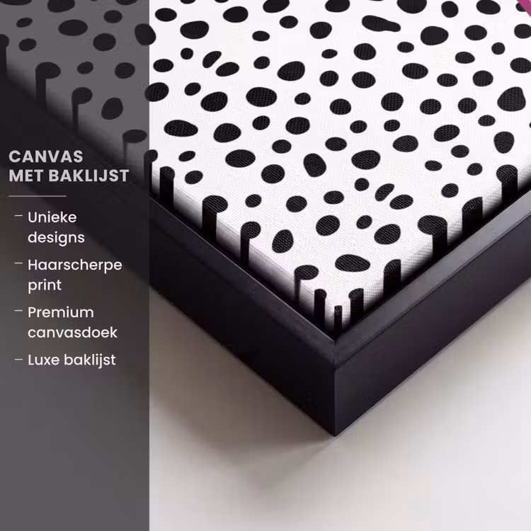 Canvas met lijst - Bliksem - Roze - Stippen — 5
