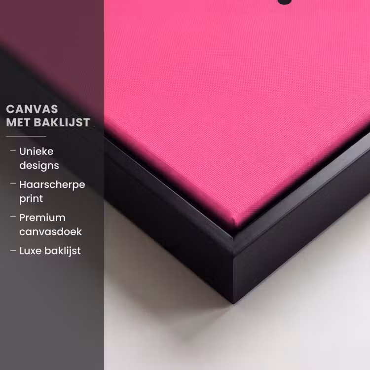 Canvas met lijst - Minimalistisch - Oog - Roze — 5
