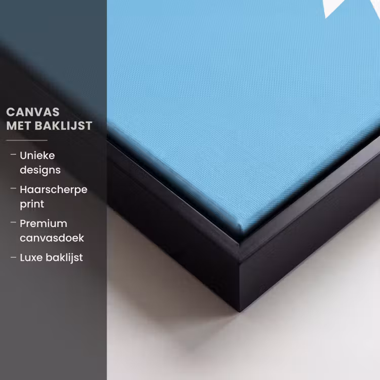 Canvas met lijst - Smiley - Blauw - Bliksem — 5