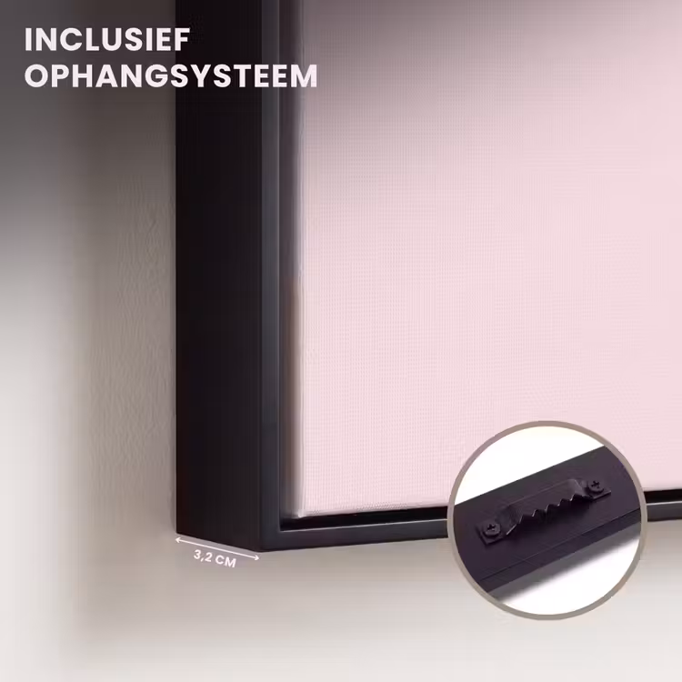 Canvas met lijst - Stippen - Roze - Bliksem — 3