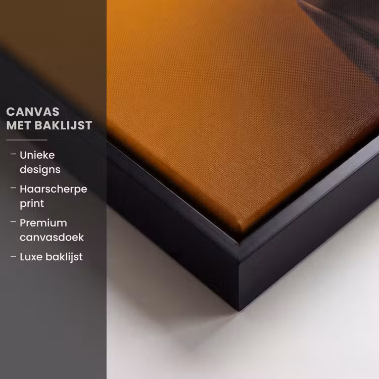 Canvas met lijst - Coltrui - Geel - Zonnebril - Kat — 5