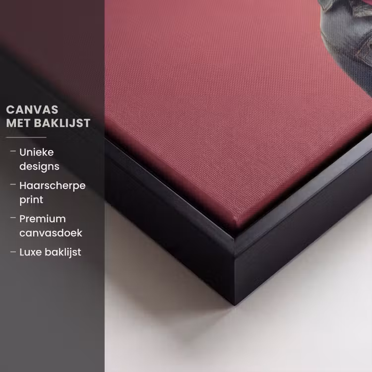 Canvas met lijst - Kat - Bandana - Spijkerjas - Roze — 5