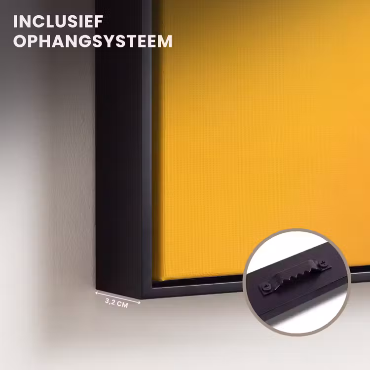 Canvas met lijst - Kat - Oranje - Zonnebril - Jas — 3