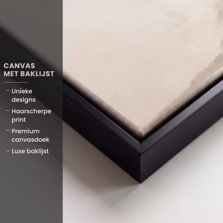 Canvas met lijst - Palmboom - Schaduw - Trap - Beige — 5