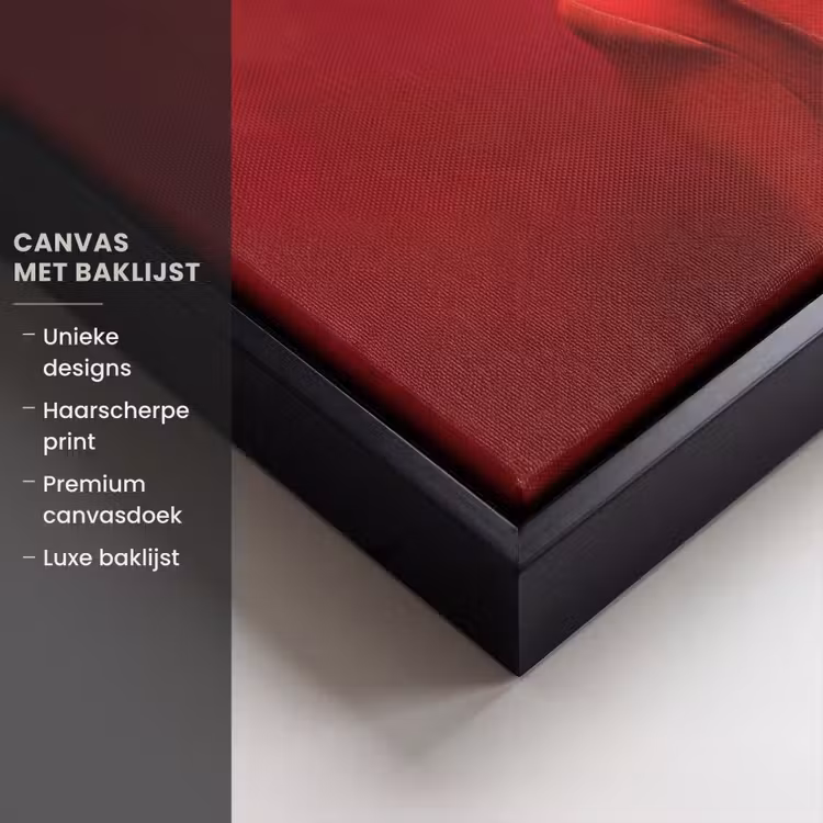 Canvas met lijst - Rood - Kat - Sjaal - Bril — 5