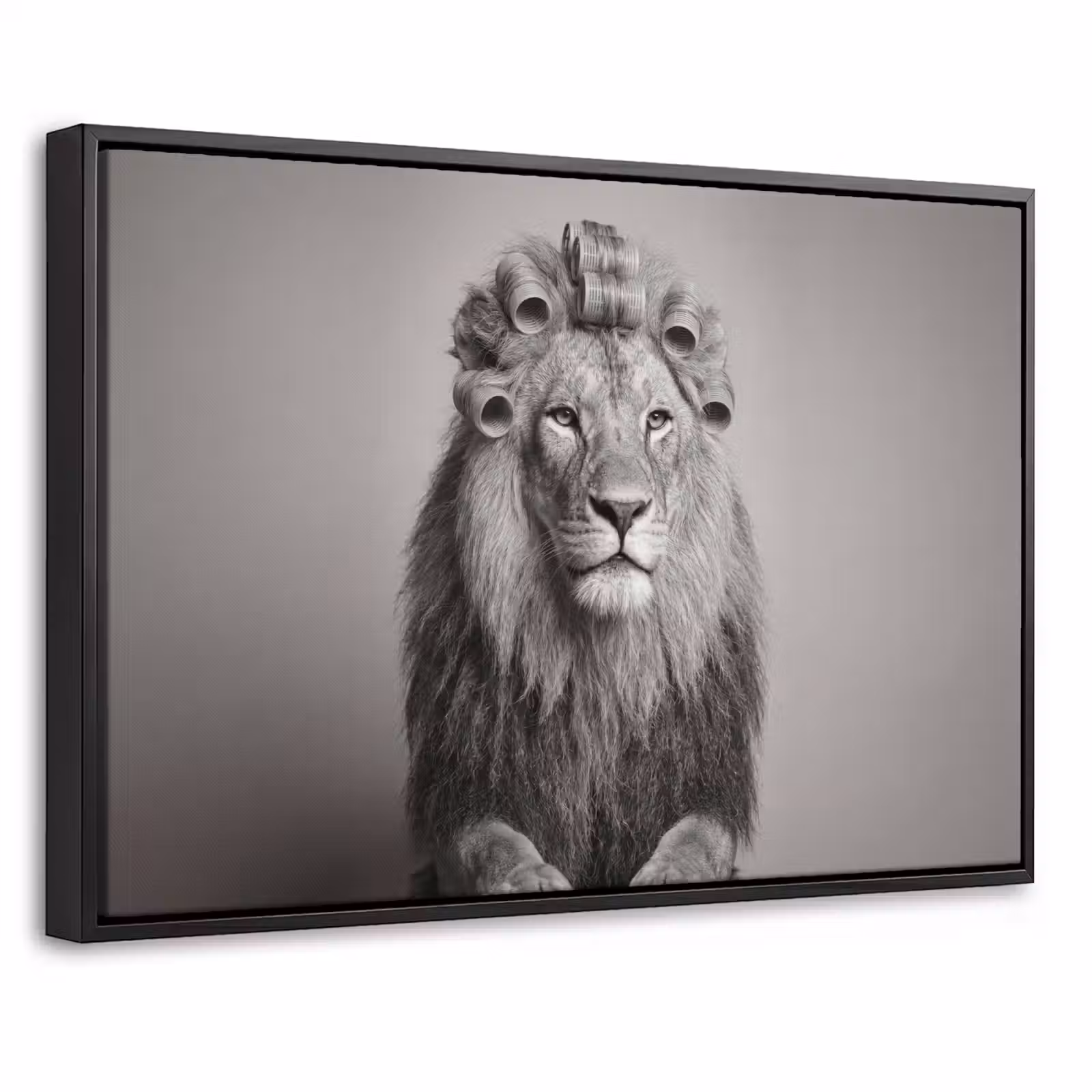 Canvas met lijst - Leeuw - Spa - Zwart - Wit — 1