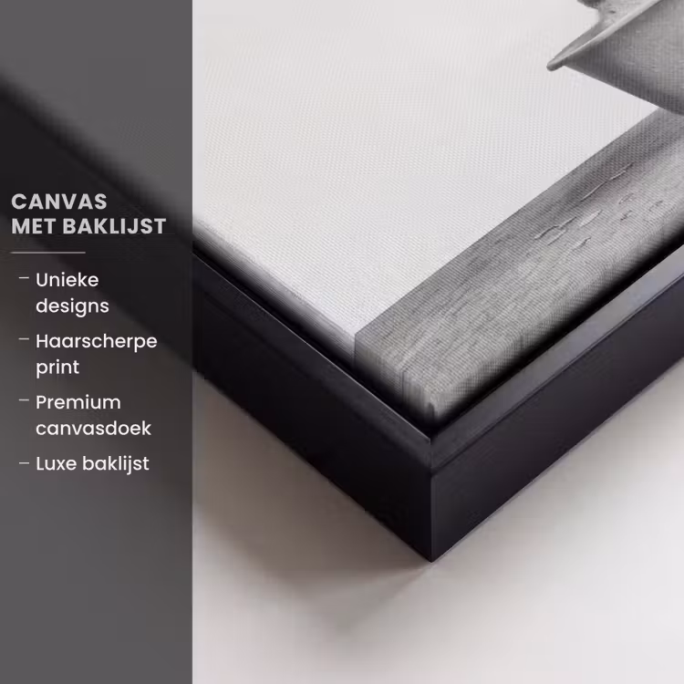 Canvas met lijst - Bad - Olifant - Schuim - Grijs — 5