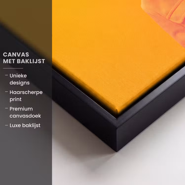 Canvas met lijst - Coltrui - Roze - Kat - Zonnebril — 5